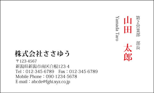 【デザイン名刺印刷】ベーシック名刺［B_025_sv］選べる7色《カラー名刺片面100枚入ケース付》テンプレートを選んで簡単名刺作成シンプルなデザインでビジネスからプライベートまで幅広く使えるスタンダードな名刺です