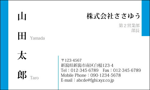 【デザイン名刺印刷】ベーシック名刺［B_031_kv］選べる7色《カラー名刺片面100枚入ケース付》テンプレートを選んで簡単名刺作成シンプルなデザインでビジネスからプライベートまで幅広く使えるスタンダードな名刺です