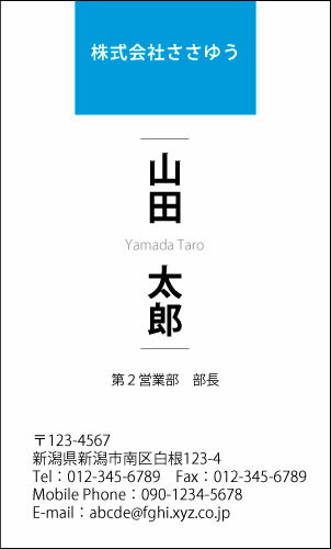 【デザイン名刺印刷】ベーシック名刺［B_034_kv］選べる7色《カラー名刺片面100枚入ケース付》テンプレートを選んで簡単名刺作成シンプルなデザインでビジネスからプライベートまで幅広く使えるスタンダードな名刺です