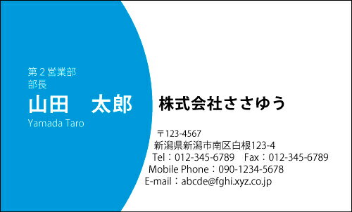 【デザイン名刺印刷】ベーシック名刺［B_036_sv］選べる7色《カラー名刺片面100枚入ケース付》テンプレートを選んで簡単名刺作成シンプルなデザインでビジネスからプライベートまで幅広く使えるスタンダードな名刺です