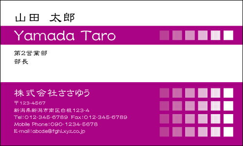 【デザイン名刺印刷】ベーシック名刺［B_114_h］《カラー名刺片面100枚入ケース付》テンプレートを選んで簡単名刺作成シンプルなデザインでビジネスからプライベートまで幅広く使えるスタンダードな名刺です