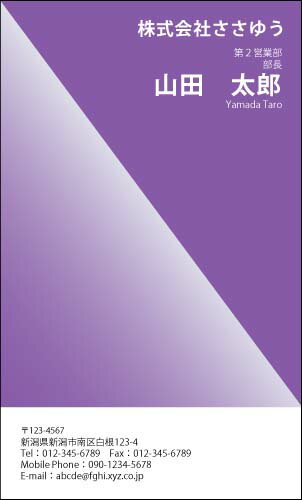 【デザイン名刺印刷】ベーシック名刺［B_116_h］《カラー名刺片面100枚入ケース付》テンプレートを選んで簡単名刺作成シンプルなデザインでビジネスからプライベートまで幅広く使えるスタンダードな名刺です