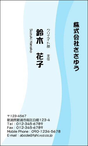 【デザイン名刺印刷】ベーシック名刺［B_120_h］《カラー名刺片面100枚入ケース付》テンプレートを選んで簡単名刺作成シンプルなデザインでビジネスからプライベートまで幅広く使えるスタンダードな名刺です
