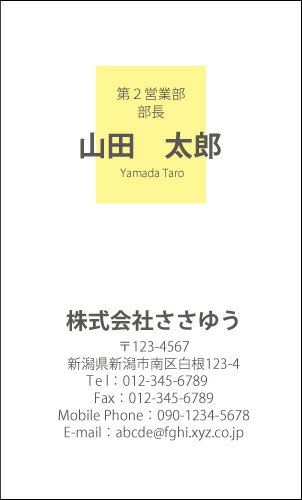 【デザイン名刺印刷】ベーシック名刺［B_125_t］《カラー名刺片面100枚入ケース付》テンプレートを選んで簡単名刺作成シンプルなデザインでビジネスからプライベートまで幅広く使えるスタンダードな名刺です