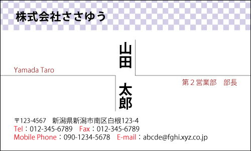 【デザイン名刺印刷】ベーシック名刺［B_136_k］《カラー名刺片面100枚入ケース付》テンプレートを選ん..