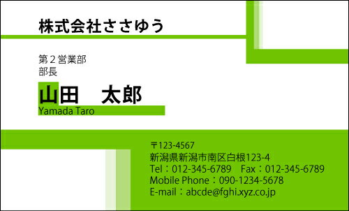 【デザイン名刺印刷】ベーシック名刺［B_141_h］《カラー名刺片面100枚入ケース付》テンプレートを選んで簡単名刺作成シンプルなデザインでビジネスからプライベートまで幅広く使えるスタンダードな名刺です