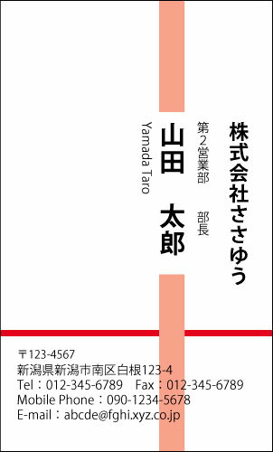 【デザイン名刺印刷】ベーシック名刺［B_146_h］《カラー名刺片面100枚入ケース付》テンプレートを選んで簡単名刺作成シンプルなデザインでビジネスからプライベートまで幅広く使えるスタンダードな名刺です