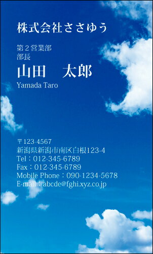 【デザイン名刺印刷】ベーシック名刺［B_910_t］《カラー名刺片面100枚入ケース付》テンプレートを選んで簡単名刺作成シンプルなデザインでビジネスからプライベートまで幅広く使えるスタンダードな名刺です【青空・空・雲・天気】