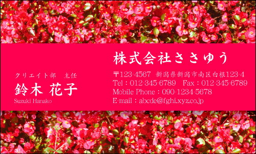 【デザイン名刺印刷】フラワー名刺［F_028_t］《カラー名刺片面100枚入ケース付》テンプレートを選んで..