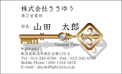【デザイン名刺印刷】趣味・職業名刺［H_137_m］《カラー名刺片面100枚入ケース付》テンプレートを選んで簡単名刺作成お店、自営業、フリーのご職業に！ショップカード・ポイントカード・インフォメーションにも！【鍵トラブル・鍵屋・鍵職人・防犯】
