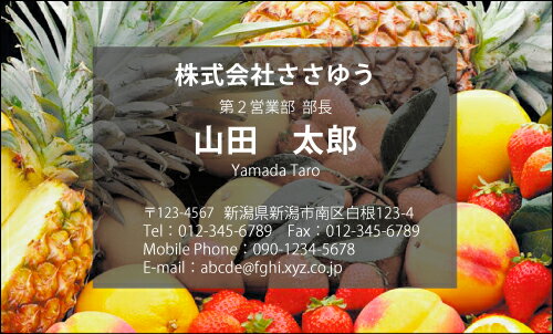【デザイン名刺印刷】趣味・職業名刺［H_420_s］《カラー名刺片面100枚入ケース付》テンプレートを選ん..
