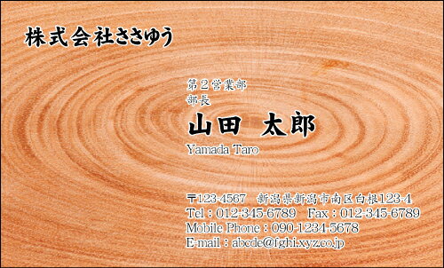 【デザイン名刺印刷】趣味・職業名刺［H_431_m］《カラー名刺片面100枚入ケース付》テンプレートを選ん..