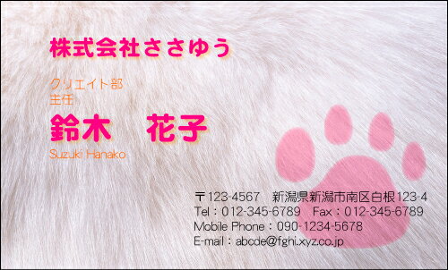 【デザイン名刺印刷】ポップ&カジュアル名刺［P_015_m］《カラー名刺片面100枚入ケース付》テンプレー..