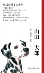 【デザイン名刺印刷】ポップ&カジュアル名刺［P_201_k］《カラー名刺片面100枚入ケース付》テンプレートを選んで簡単名刺作成POPなデザインで男女問わず手軽に使えるオシャレかわいいキュートな名刺です【犬好きの方に・ダルメシアン・ペット】