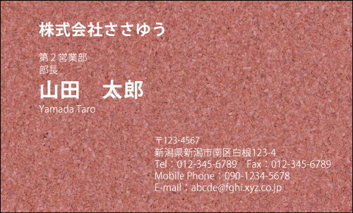 【デザイン名刺印刷】スタイリッシュ名刺［S_013_s］《カラー名刺片面100枚入ケース付》テンプレートを..