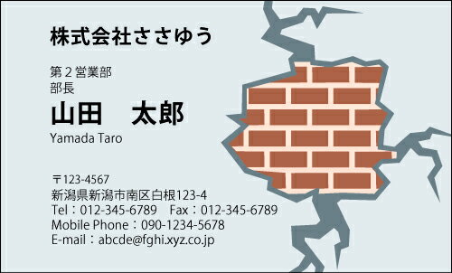 【デザイン名刺印刷】スタイリッシュ名刺［S_041_s］《カラー名刺片面100枚入ケース付》テンプレートを..