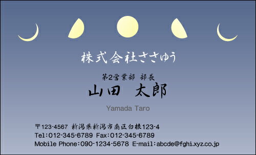 【デザイン名刺印刷】スタイリッシュ名刺［S_058_m］《カラー名刺片面100枚入ケース付》テンプレートを選んで簡単名刺作成スマートなデザインでセンスの良さをアピール！オシャレ&クールなデザイン名刺です【月・夜空】
