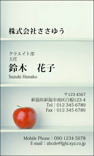 【デザイン名刺印刷】スタイリッシュ名刺［S_074_s］《カラー名刺片面100枚入ケース付》テンプレートを選んで簡単名刺作成スマートなデザインでセンスの良さをアピール！オシャレ&クールなデザイン名刺