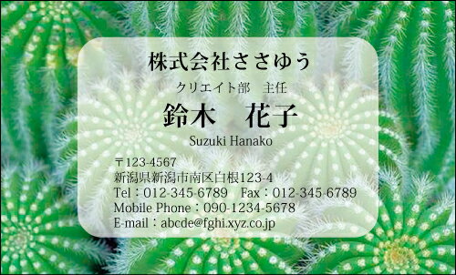 【デザイン名刺印刷】スタイリッシュ名刺［S_075_s］《カラー名刺片面100枚入ケース付》テンプレートを選んで簡単名刺作成スマートなデザインでセンスの良さをアピール！オシャレ&クールなデザイン名刺【サボテン・観葉植物】