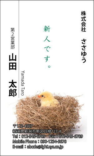 【デザイン名刺印刷】ユニーク・アイディア名刺［U_102_k］《カラー名刺片面100枚入ケース付》テンプレートを選んで簡単名刺作成ユーモアとジョークで個性をアピール！ちょっと変わったオモシロ名刺です【新人でこの名刺！アピール度大です】