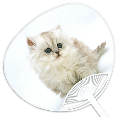 子犬・子猫うちわシリーズ『ペルシャ』 〜他の店では絶対買えない当店オリジナルのうちわです〜 お祭り..