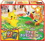 新品 プロモカード付 ポケモンカードゲーム ソード&シールド ファミリーポケモンカードゲーム 博士の研究(ウィロー博士) シュリンク付 4,980円