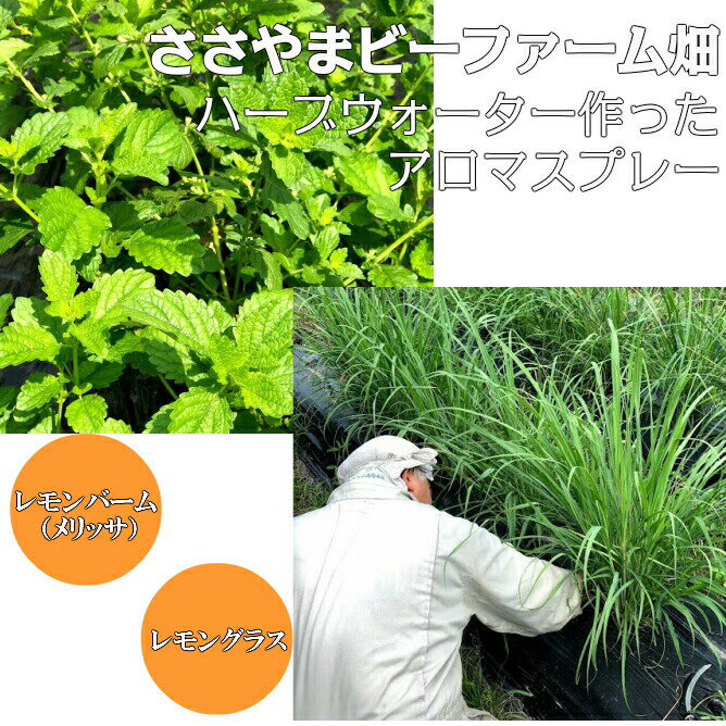 【9/1 2500円で蜂蜜石鹸プレゼント】アロマスプレー 【Honeysa ゼラニウム 30ml 】マスクスプレー ホニサ 自家製 消臭 アロマ ウイルス 風邪 感染症 におい 匂い 臭い 対策 グッズ 予防 除菌 c06