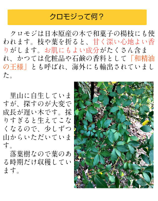 楽天市場 独自p5倍8 25 水 0 00 23 59 篠山精油 芳香蒸留水 お得な2本 1本 クロモジ 100ml 2600円税込送料無料 ハーブウォーター フローラルウォーター ハイドロゾル クロモジウォーター 黒文字 ささやまビーファーム 楽天市場店 みんなのレビュー 口コミ 楽天市場 独自p5倍8 25 水 0 00 23 59 篠山精油 芳香蒸留水 お得な2本 1本 クロモジ 100ml 2600円税込送料無料 ハーブウォーター フローラルウォーター ハイドロゾル クロモジウォーター 黒文字 ささやまビーファーム 楽天市場店 みんなのレビュー 口コミ