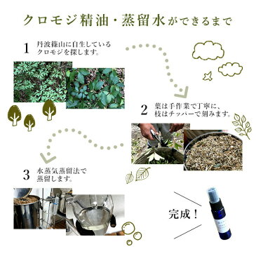 【マラソン全品15%OFFクーポン】【クロモジ アロマスプレー】 篠山精油 精油から手作り 30ml 1本 税込送料無料 マスク 除菌 除菌対策 消臭 マスクスプレー 感染予防 抗ウイルス 抗菌 除菌スプレー 携帯用 エタノール アルコール