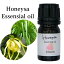 AEAJǧɽǧ å󥷥륪 ʥ֥롼 5ml    100%ԥ奢 ŷ Honeysa f41