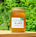 【丹波篠山で採れた100％天然の生ハチミツ　篠山蜂蜜　百花蜜　500g z08