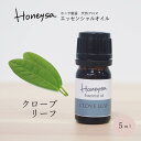 【5/25全品10%OFFクーポン】AEAJ認定表示基準認定精油精油 エッセンシャルオイル (クローブリーフ 5ml ) 精油 アロマ 100%ピュア 天然 Honeysa精油(4)