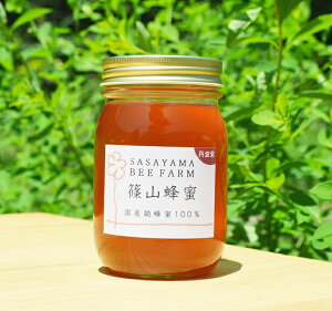 （丹波篠山で採れた100％天然の生ハチミツ 篠山蜂蜜 丹波栗 500g z06