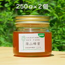 丹波篠山で採れた100％天然の生ハチミツ 篠山蜂蜜 百花蜜 500g売切れのため250g×2個となります z05z05