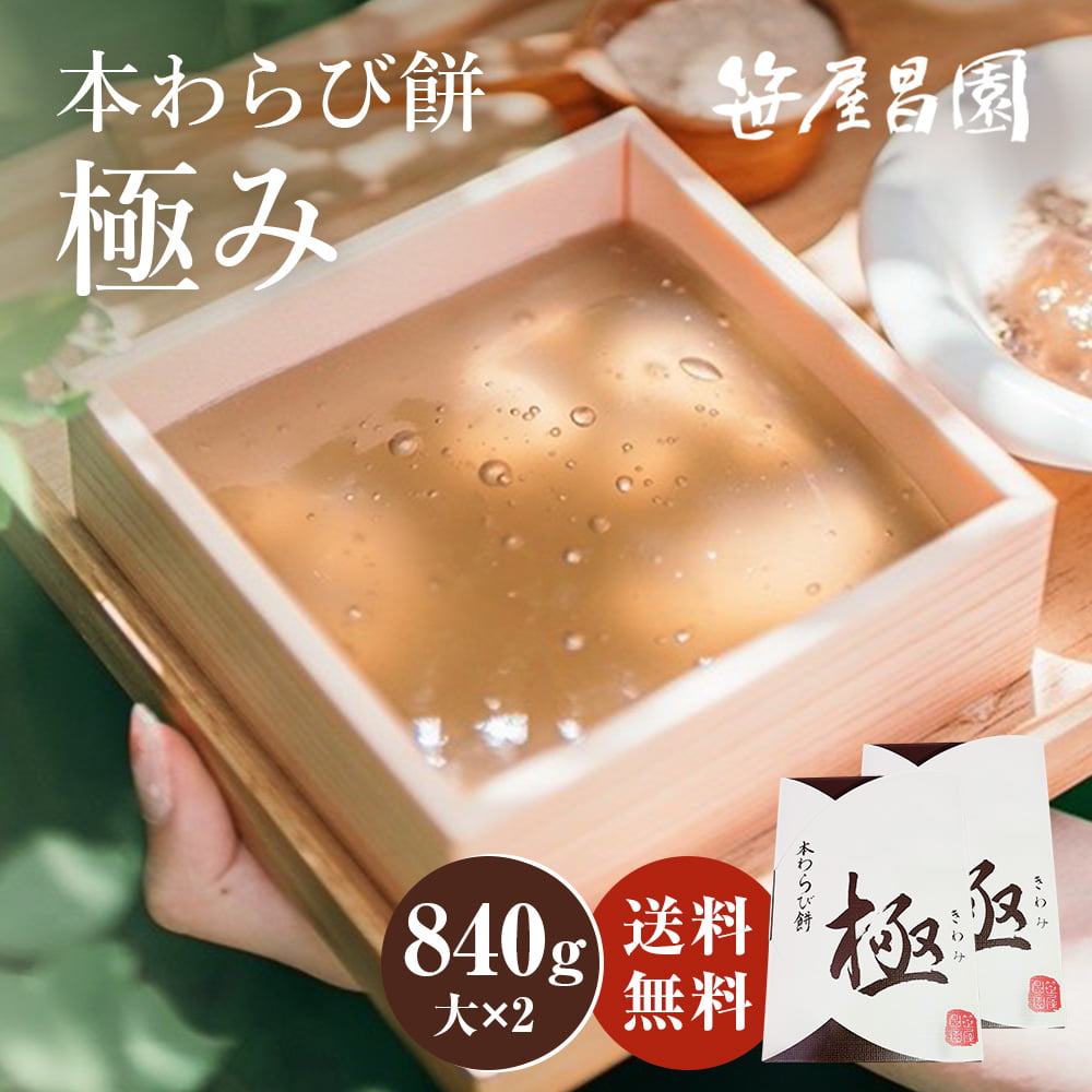 【10%OFF! 5/16 01:59まで】本わらび餅 極み 【大 420g 2個 840g 7～8人前 】 御中元ギフト和菓子 高級 スイーツ 誕生日 内祝い 出産祝い ご挨拶 京都 本わらび 土産 京都土産 ギフト お取り寄…