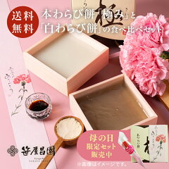 https://thumbnail.image.rakuten.co.jp/@0_mall/sasayasyoen/cabinet/hb/item/2024/vivit_hahanohi_24.jpg