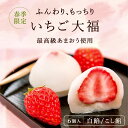 端午の節句 春 和菓子 【期間限定】京都の「 いちご大福 6個入」(さくら 桜 お花見 春限定 あまおう イチゴ いちご 大福 ご挨拶 京都 和菓子 高級 笹屋昌園 ギフト お取り寄せ 食品 スイーツ 京都 土産 実用的 御中元 お中元) 【土日お届け】