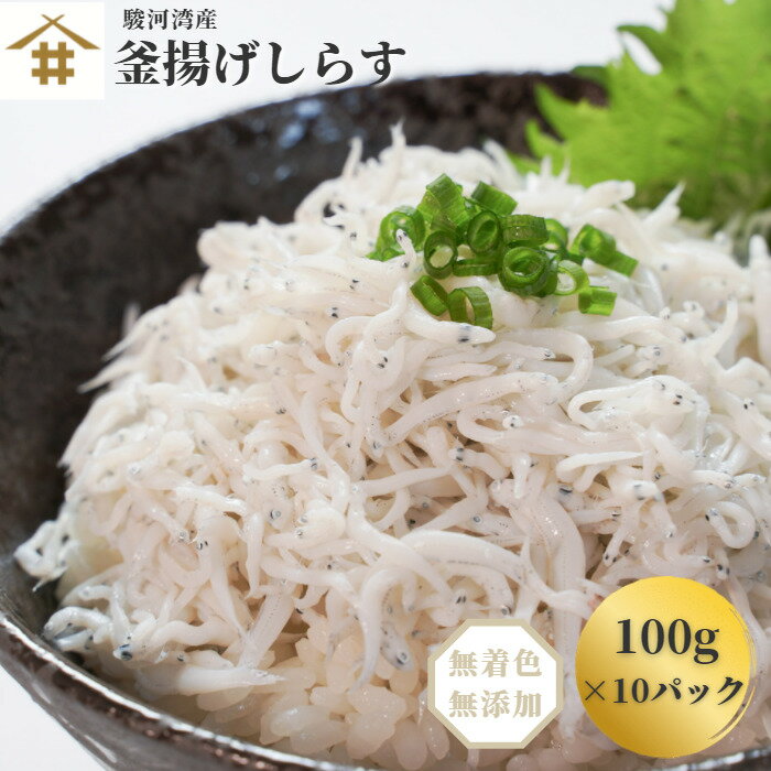 送料無料 「駿河湾産 釜揚げシラス 1Kg」 100g×10パック しらす丼 かき揚げ 用宗 静岡県 駿河湾 冷凍 産地直送 獲れたて 小分け 焼津 御中元 お歳暮 母の日 父の日 敬老の日 お取り寄せ ギフト 贈答 送料無料(本州のみ)