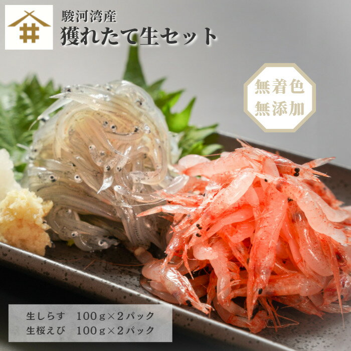 海鮮福袋 駿河湾 獲れたて生セット「 生しらす100g×2 生桜えび100g×2」 福袋 お試しセット 海鮮セット しらす 桜エビ さくらえび 焼津 新鮮 鮮度抜群 丼 刺身 海鮮丼 しらす丼 送料無料(本州のみ)