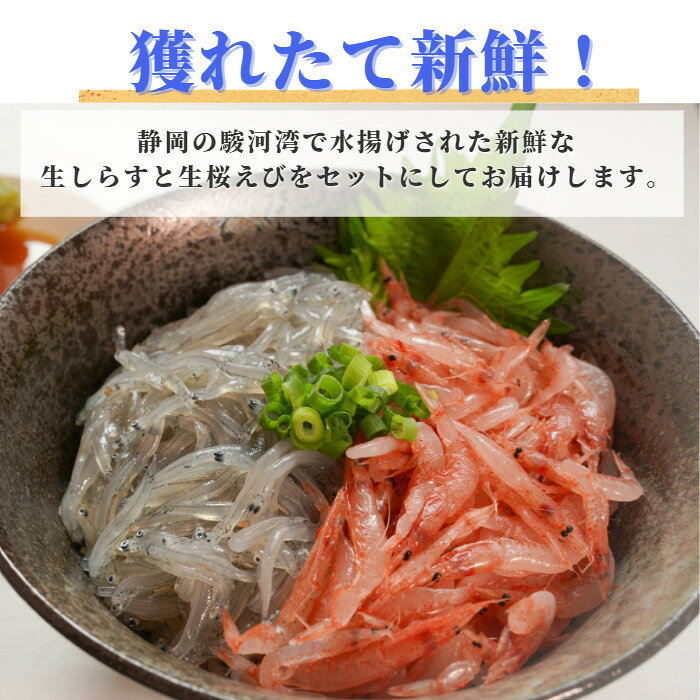 海鮮福袋 駿河湾 獲れたて生セット「 生しらす100g×2 生桜えび100g×2」 福袋 お試しセット 海鮮セット 桜エビ 新鮮 鮮度抜群 刺身 海鮮丼 冷凍 小分け 焼津 御中元 お歳暮 母の日 父の日 敬老の日 ギフト 贈答 お店 送料無料(本州のみ) sasuigeta-10000319 サスイゲタフード楽天市場店 サンプル画像3