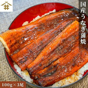 【送料無料】(本州のみ)特大うなぎ蒲焼 「うなぎ蒲焼100g×3尾」 鰻 うなぎ ウナギ 鰻重 うな重 肉厚 柔らかい【鹿児島県産】【国内加工】【国産ウナギ長焼100g×3尾】【タレ・山椒付き】ギフト プレゼント 丑の日 土用の丑の日 満点 スタミナ抜群 滋養