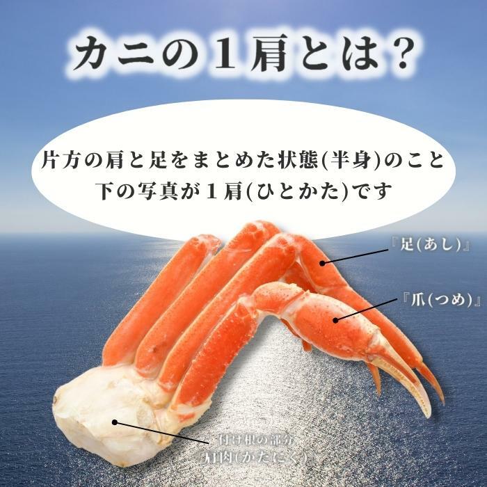「ボイルずわいがに 6L 3肩」 (1肩420g前後） ズワイガニ 贈答品 かに カニ 蟹 特大 ボイル蟹 急速冷凍 鮮度抜群 ギフト 贈答 ズワイ蟹 鍋 パーティー さかな 送料無料(本州のみ) sasuigeta-10000037 サスイゲタフード楽天市場店 サンプル画像3