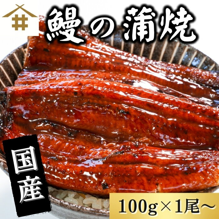 送料無料(本州のみ) 特大うなぎ長焼