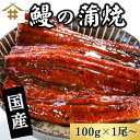 送料無料(本州のみ) 特大うなぎ長焼 「うなぎ蒲焼100g×1~10尾」 鰻 ウナギ 鰻重 肉厚 柔らかい 鹿児島県産 国内加工 【タレ・山椒付き】ギフト プレゼント 土用の丑の日 満点 スタミナ抜群 滋養 さかな