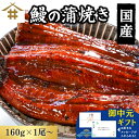 送料無料(本州のみ) 3,390円☆まとめ買いがお得!なんと最大2,700円OFF!「うなぎ蒲焼 約160g×1~4尾」鹿児島県産 ウナギ 国産 鰻重 うな重 ...