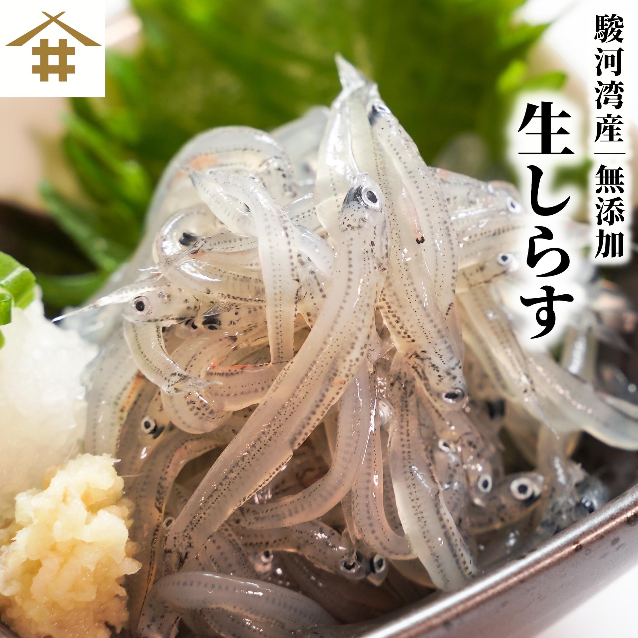 お一人様1個限り☆送料無料(本州のみ) 駿河湾産 「生シラス 100g×1~6」生しらす 海鮮 冷凍 小分け 焼津 御中元 お歳暮 母の日 父の日 敬老の日 ギフト 贈答 【当店オススメ】