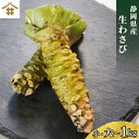 まとめ買いがお得!なんと最大3,000円OFF!送料無料(本州のみ) 静岡県産 根わさび 大・小 ・500g・1kg 【約5人前~】「生わさび大・小 ・500g...
