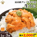 まとめ買いがお得!なんと最大2,000円OFF!送料無料(本州のみ) 海鮮丼 「うに 60g×1~3パック」うに丼 最高級品質 Aランク チリ産 生ウニ 厳選 自然解凍 手巻き寿司 パスタ グラタン 雲丹 海栗 寿司 刺身 おつまみ お店