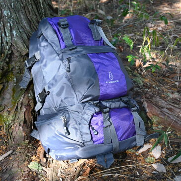 バックパック 登山 リュック 大容量 パープル 50L メンズ レディース 大人 防水 多機能 おしゃれ ソロ キャンプ アウトドア 通学 旅行 防災