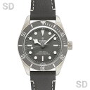 TUDOR チューダー ブラックベイ フィフティエイト925 79010SG グレー メンズ 